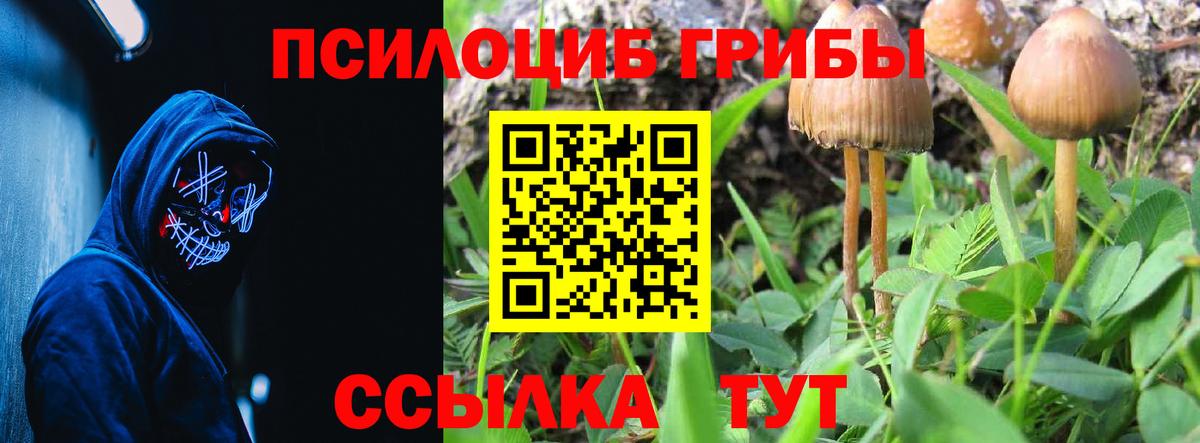 Конаково  где найти   Галлюциногенные грибы мицелий  Вход с VPN  Псилоцибиновые грибы MAGIC MUSHROOMS 