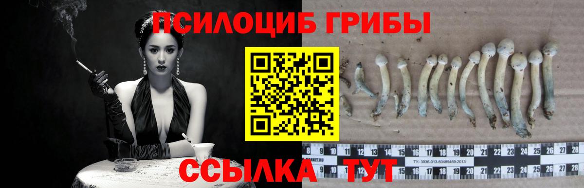 Галлюциногенные грибы Magic Shrooms Конаково
